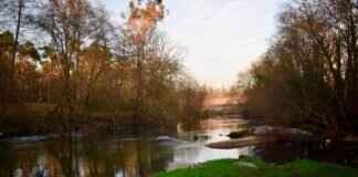 What to Expect from the Municipal Election in West Bengal 2022 What to Expect from the Municipal Election in West Bengal 2022