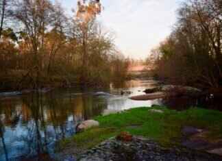 What to Expect from the Municipal Election in West Bengal 2022 What to Expect from the Municipal Election in West Bengal 2022