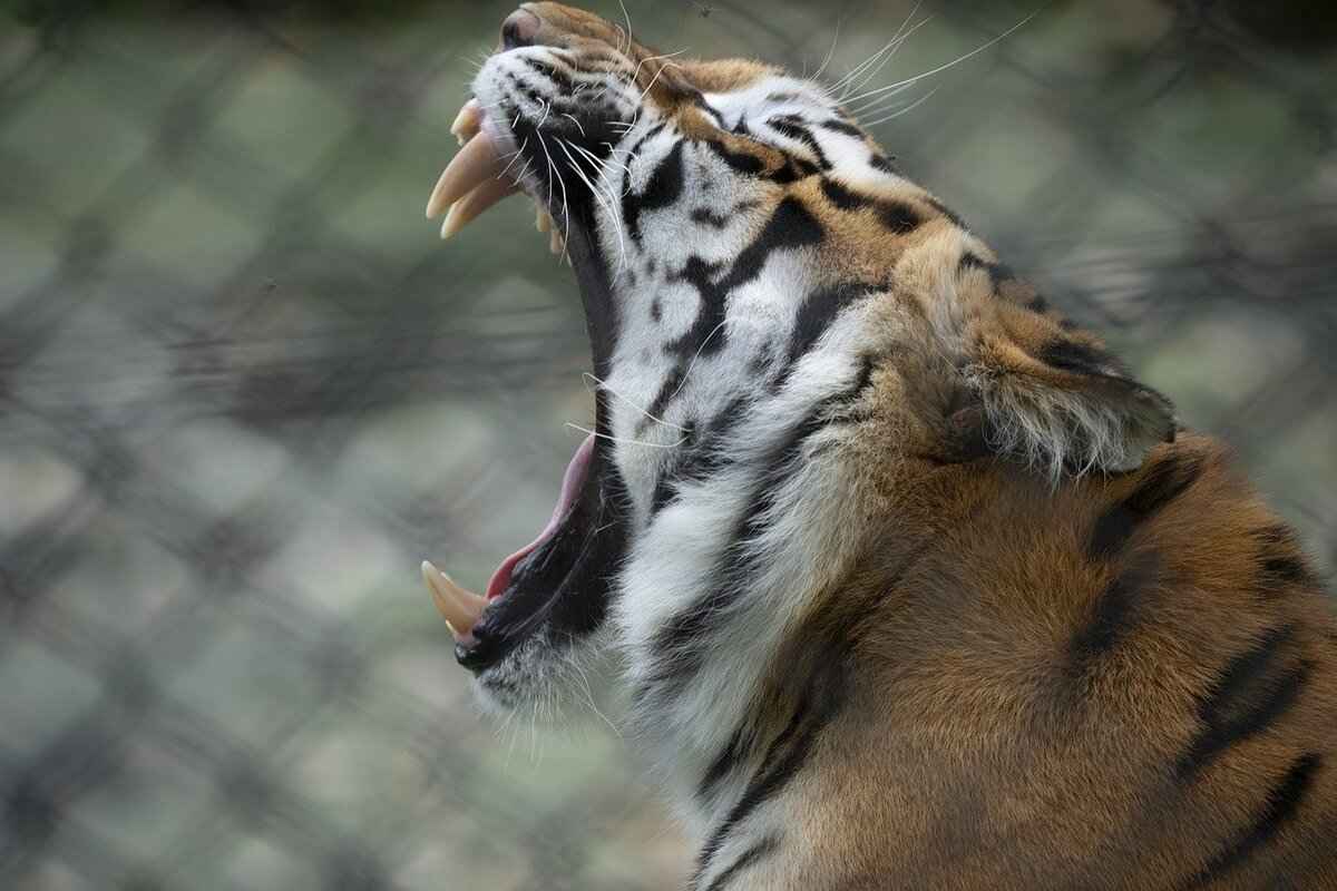 What to Expect from West Bengal’s Future in Politics 7 Conclusion: Shaping West Bengal's Political Destiny