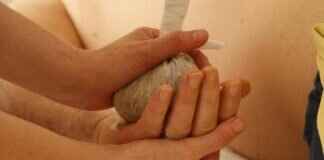 What to Expect in an Asian Prostate Massage Session What to Expect in an Asian Prostate Massage Session