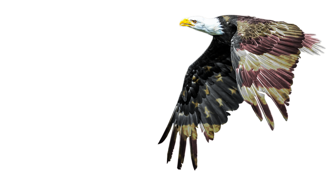 What You Should Know About the West Bengal Panchayat Election Results 3 Results Overview: Key Outcomes