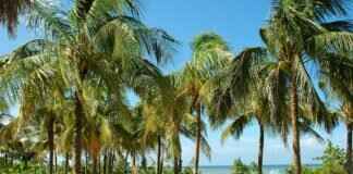 What’s the Best Time to Visit Durgapur, West Bengal? What’s the Best Time to Visit Durgapur, West Bengal?