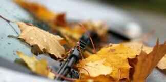 Where to Buy Windshield Wipers for the Best Deals Where to Buy Windshield Wipers for the Best Deals