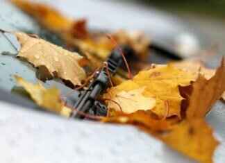 Where to Buy Windshield Wipers for the Best Deals Where to Buy Windshield Wipers for the Best Deals