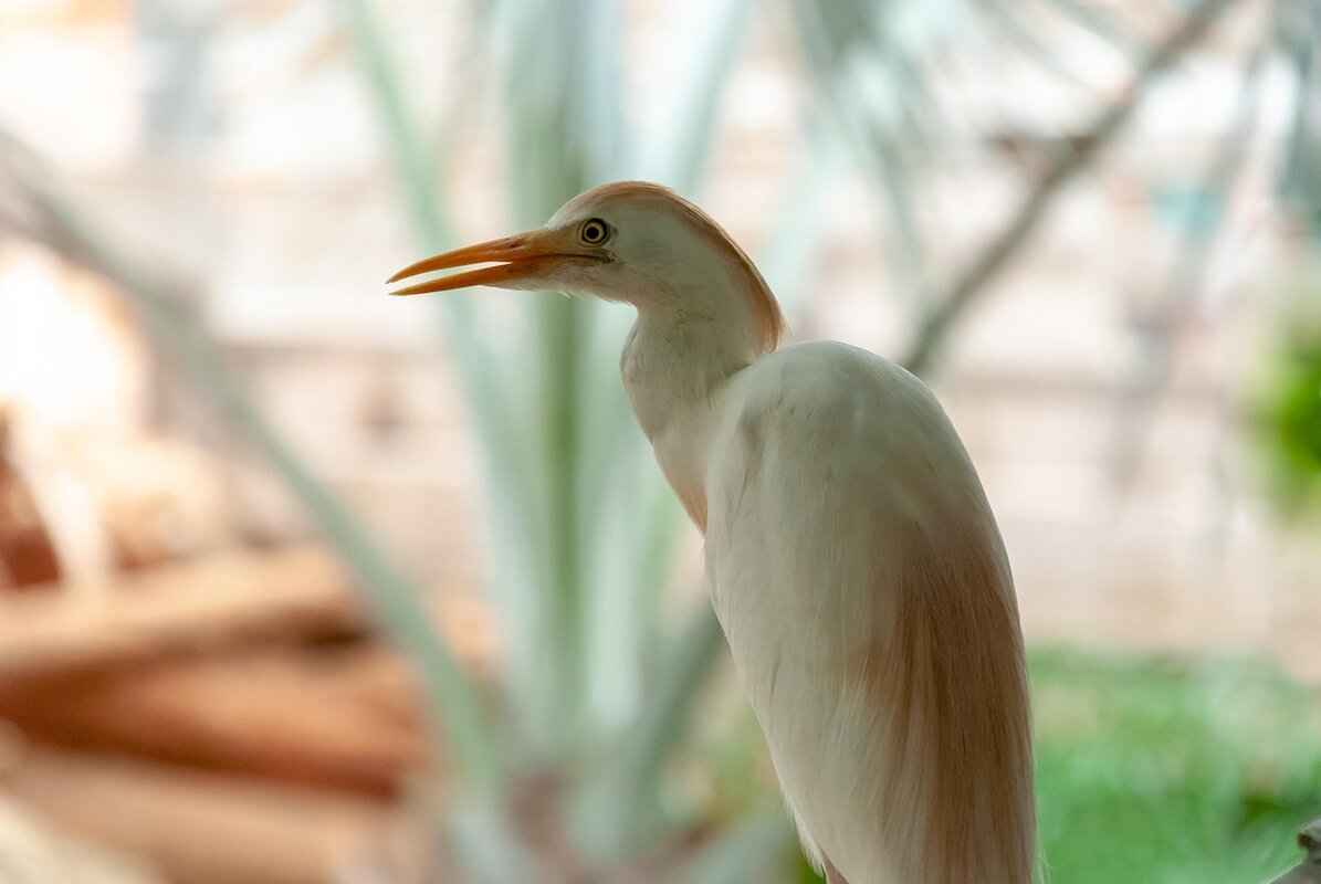 Types of Child Custody