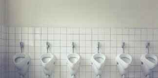 Who Has More Authority in Legal Matters: A Notary or a Lawyer? Who Has More Authority in Legal Matters: A Notary or a Lawyer?