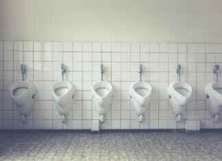 Who Has More Authority in Legal Matters: A Notary or a Lawyer? Who Has More Authority in Legal Matters: A Notary or a Lawyer?