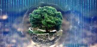 Who is Adrianna Apostolec? Biography and Achievements Who is Adrianna Apostolec? Biography and Achievements