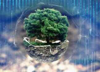 Who is Adrianna Apostolec? Biography and Achievements Who is Adrianna Apostolec? Biography and Achievements