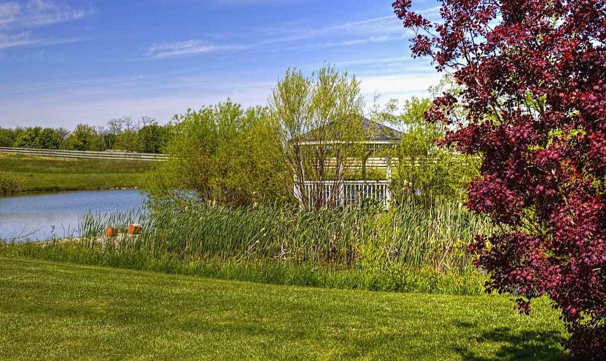 What Are Tommy Williams' Personal Interests?