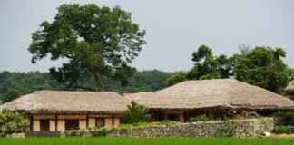 Why Bengalis Are Considered the Most Intellectual Community in India Why Bengalis Are Considered the Most Intellectual Community in India