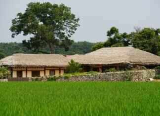 Why Bengalis Are Considered the Most Intellectual Community in India Why Bengalis Are Considered the Most Intellectual Community in India