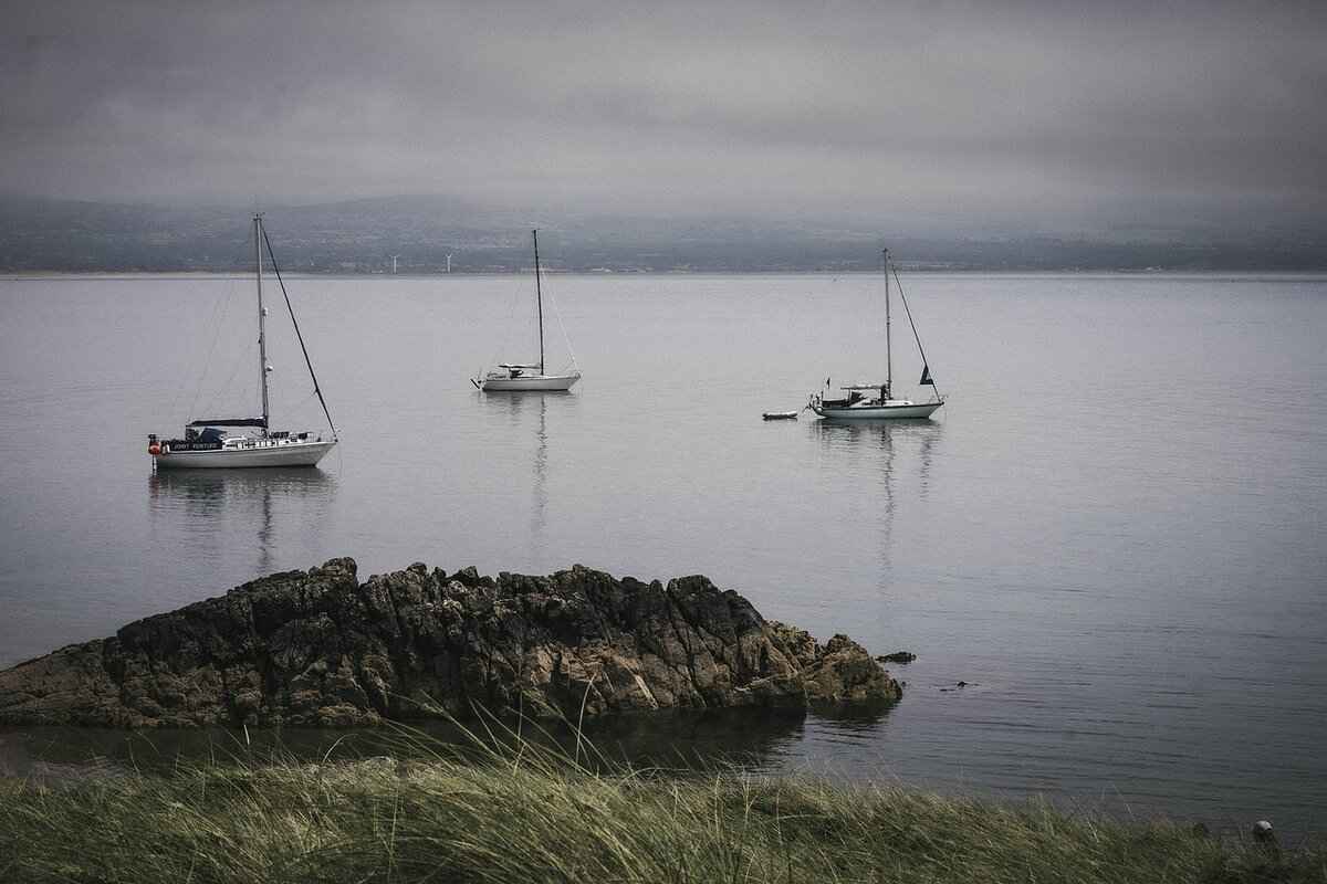 Why Darjeeling Is Known as the Queen of the Hills 4 The Unique Flora and Fauna