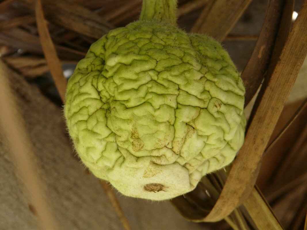 Vitamins and Minerals