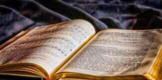 Why Kolkata’s College Street Is a Paradise for Book Lovers Why Kolkata’s College Street Is a Paradise for Book Lovers