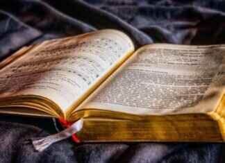 Why Kolkata’s College Street Is a Paradise for Book Lovers Why Kolkata’s College Street Is a Paradise for Book Lovers