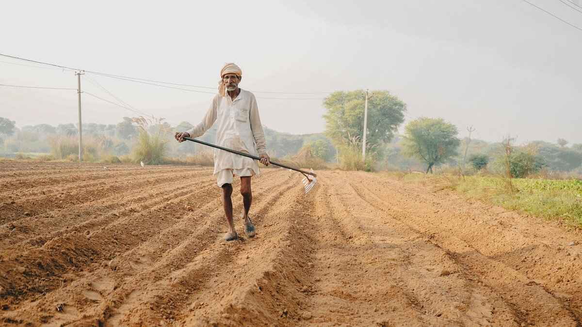 Future of Organic Farming in Bengal