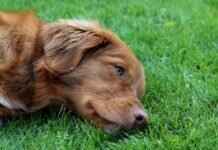 Why Remote Part-Time Data Entry Jobs Are Perfect for Students Why Remote Part-Time Data Entry Jobs Are Perfect for Students