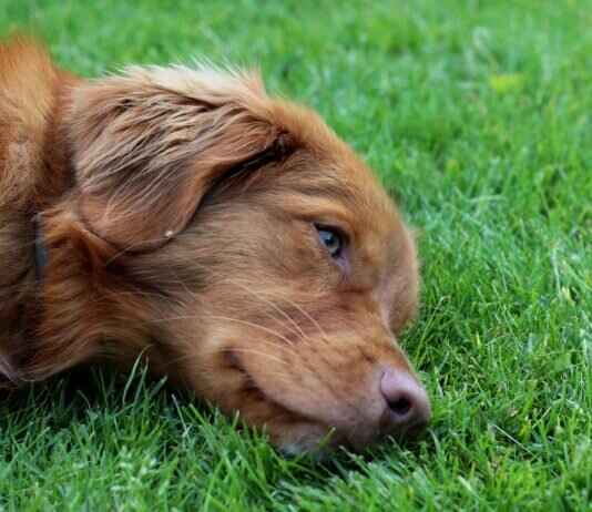 Why Remote Part-Time Data Entry Jobs Are Perfect for Students Why Remote Part-Time Data Entry Jobs Are Perfect for Students