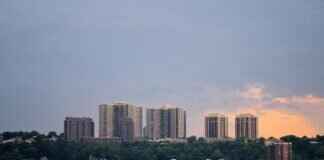 Why Thierry Henry Jerseys Are Among the Most Valuable Football Kits Why Thierry Henry Jerseys Are Among the Most Valuable Football Kits