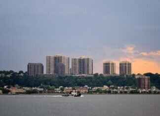 Why Thierry Henry Jerseys Are Among the Most Valuable Football Kits Why Thierry Henry Jerseys Are Among the Most Valuable Football Kits