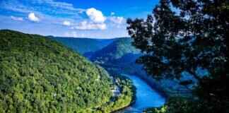 Why West Bengal is Becoming a Hub for Startups and Businesses Why West Bengal is Becoming a Hub for Startups and Businesses