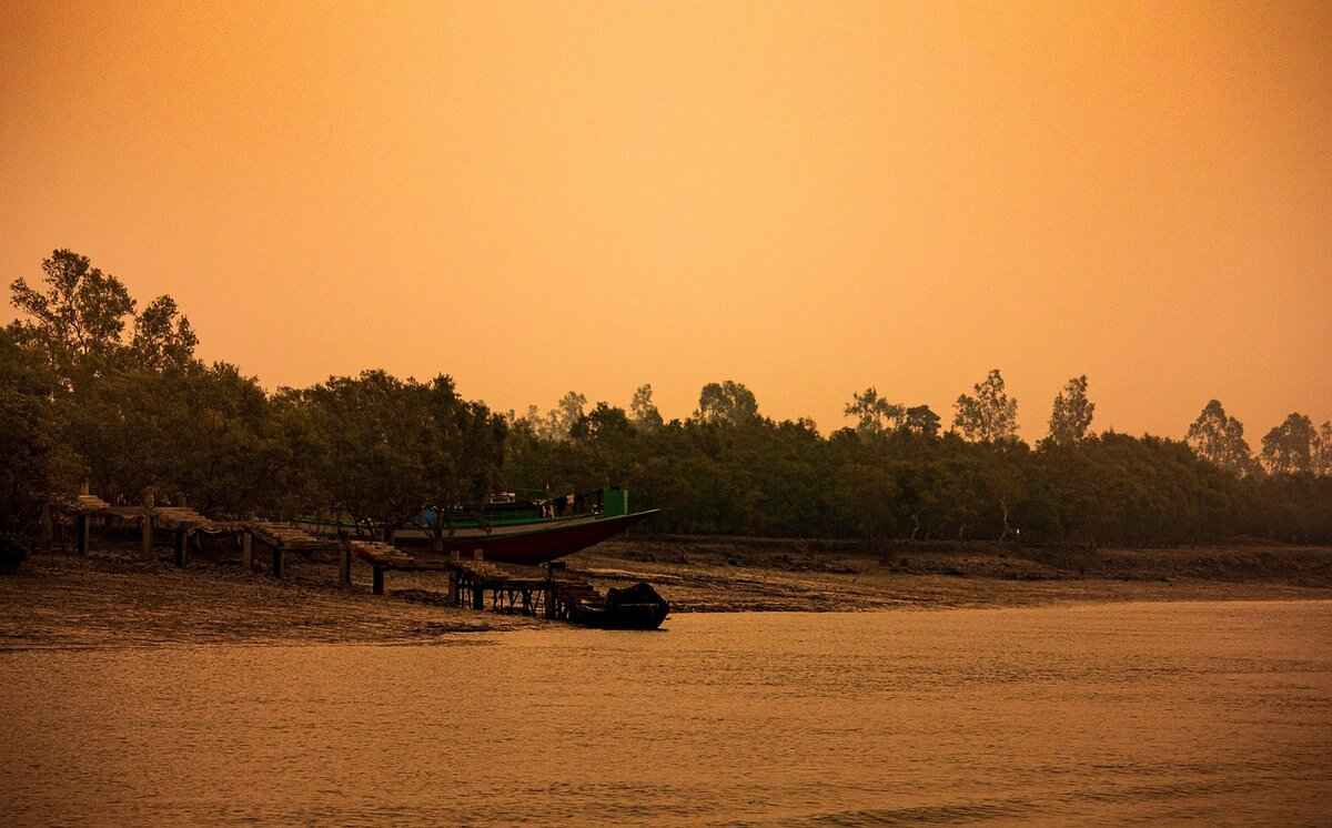 Why West Bengal is Perfect for Nature Lovers and Adventure Seekers 5 5. Scenic Hill Stations