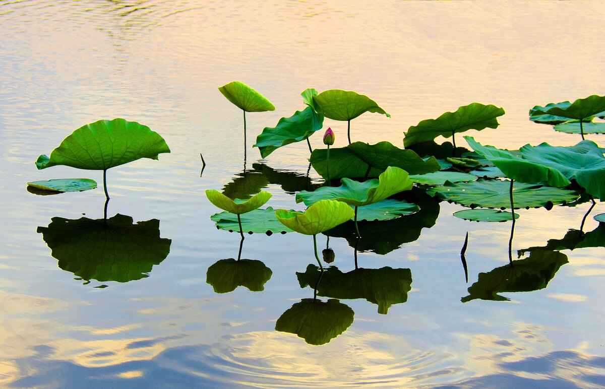 10. Navigating West Bengal: Travel Tips