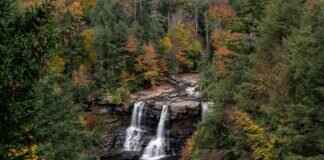 Why West Bengal’s Political Landscape is So Unique Why West Bengal’s Political Landscape is So Unique