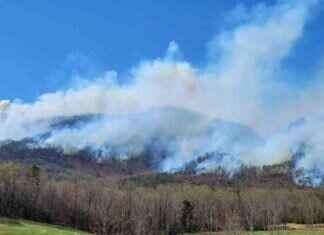 Wildfires ravage Carolinas, destroying homes and prompting evacuations wildfires-ravage-carolinas-destroying-homes-and-prompting-evacuations