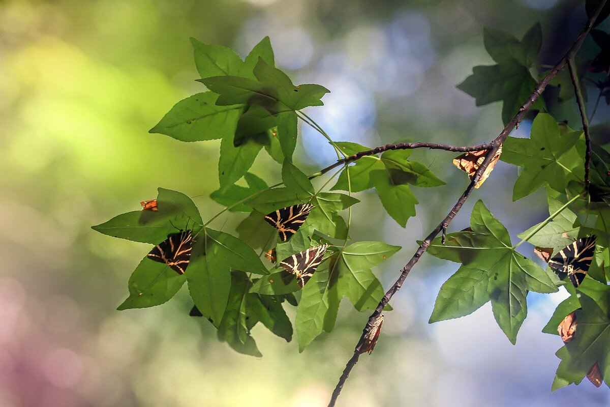 Tips for Choosing the Right Size