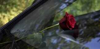 Windshield Wipers for Glasses: Do They Really Work? Windshield Wipers for Glasses: Do They Really Work?