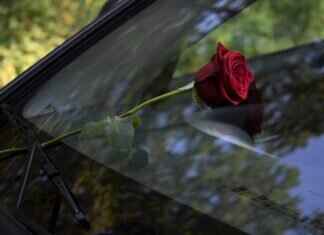 Windshield Wipers for Glasses: Do They Really Work? Windshield Wipers for Glasses: Do They Really Work?