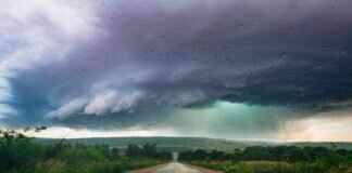 Windshield Wipers in Walmart: Best Deals and Brands Available Windshield Wipers in Walmart: Best Deals and Brands Available