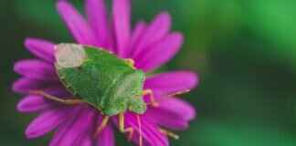 Windshield Wipers Nearby: Find the Best Windshield Wipers Near You Windshield Wipers Nearby: Find the Best Windshield Wipers Near You