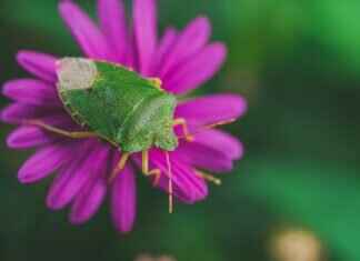 Windshield Wipers Nearby: Find the Best Windshield Wipers Near You Windshield Wipers Nearby: Find the Best Windshield Wipers Near You