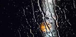 Windshield Wipers Price: How Much Should You Pay for Quality? Windshield Wipers Price: How Much Should You Pay for Quality?