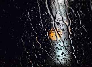 Windshield Wipers Price: How Much Should You Pay for Quality? Windshield Wipers Price: How Much Should You Pay for Quality?