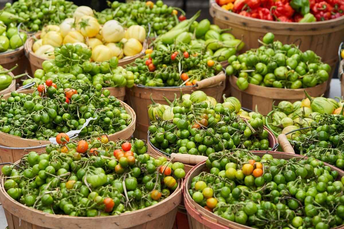 Future Prospects of WinQizmorzQux