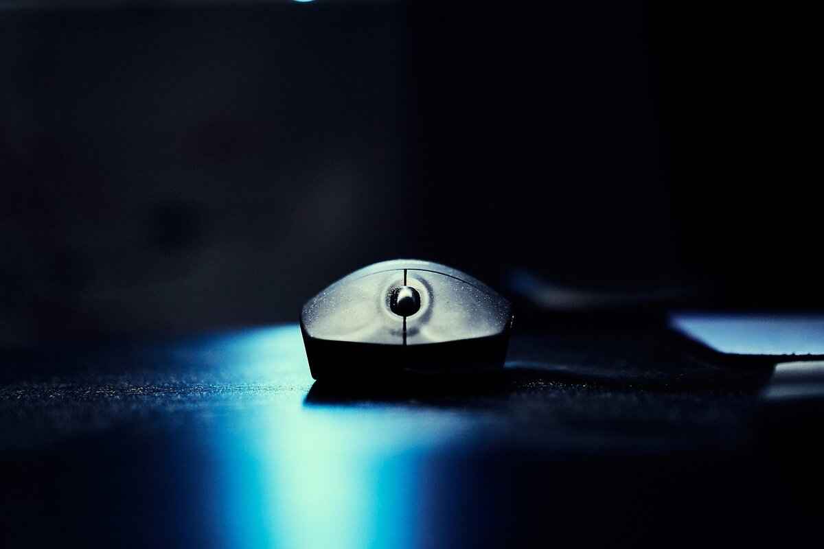 Benefits of Using WinQizmorzQux