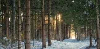 Winter Windshield Wipers: Do You Need Special Wipers for Snow? Winter Windshield Wipers: Do You Need Special Wipers for Snow?