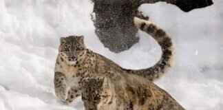 WWE Reportedly Changed Matches After Smackdown in Orlando: What Happened? WWE Reportedly Changed Matches After Smackdown in Orlando: What Happened?