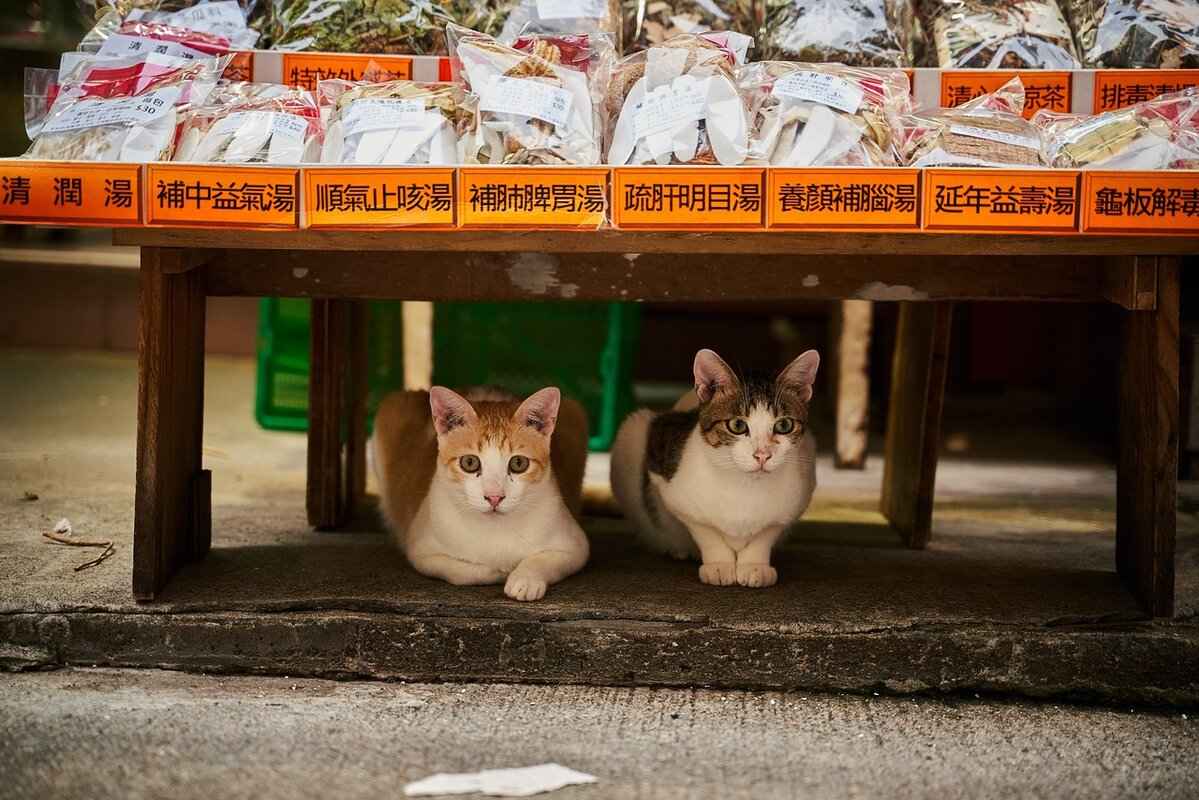 What Are the Best Times to Visit Yatai Stalls?