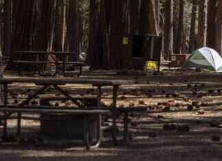 Yosemite National Park Summer Reservations Open Now yosemite-national-park-summer-reservations-open-now