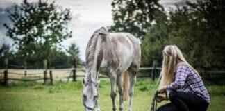 Zac Guenther Nude: The Story Behind the Viral Search  Zac Guenther Nude: The Story Behind the Viral Search # Zac Guenther Nude: The Story Behind the Viral Search