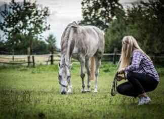 Zac Guenther Nude: The Story Behind the Viral Search Zac Guenther Nude: The Story Behind the Viral Search # Zac Guenther Nude: The Story Behind the Viral Search