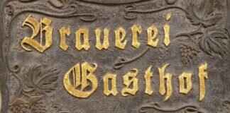 Zuma’s Water Rescues: The Aquatic Expert of Adventure Bay Zuma’s Water Rescues: The Aquatic Expert of Adventure Bay