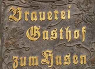 Zuma’s Water Rescues: The Aquatic Expert of Adventure Bay Zuma’s Water Rescues: The Aquatic Expert of Adventure Bay