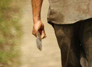 10 Best Portable Coffee Makers You Need for Your Next Camping Adventure 10 Best Portable Coffee Makers You Need for Your Next Camping Adventure