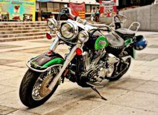 10 Best Vegetable Choppers for Family Cooks 10 Best Vegetable Choppers for Family Cooks